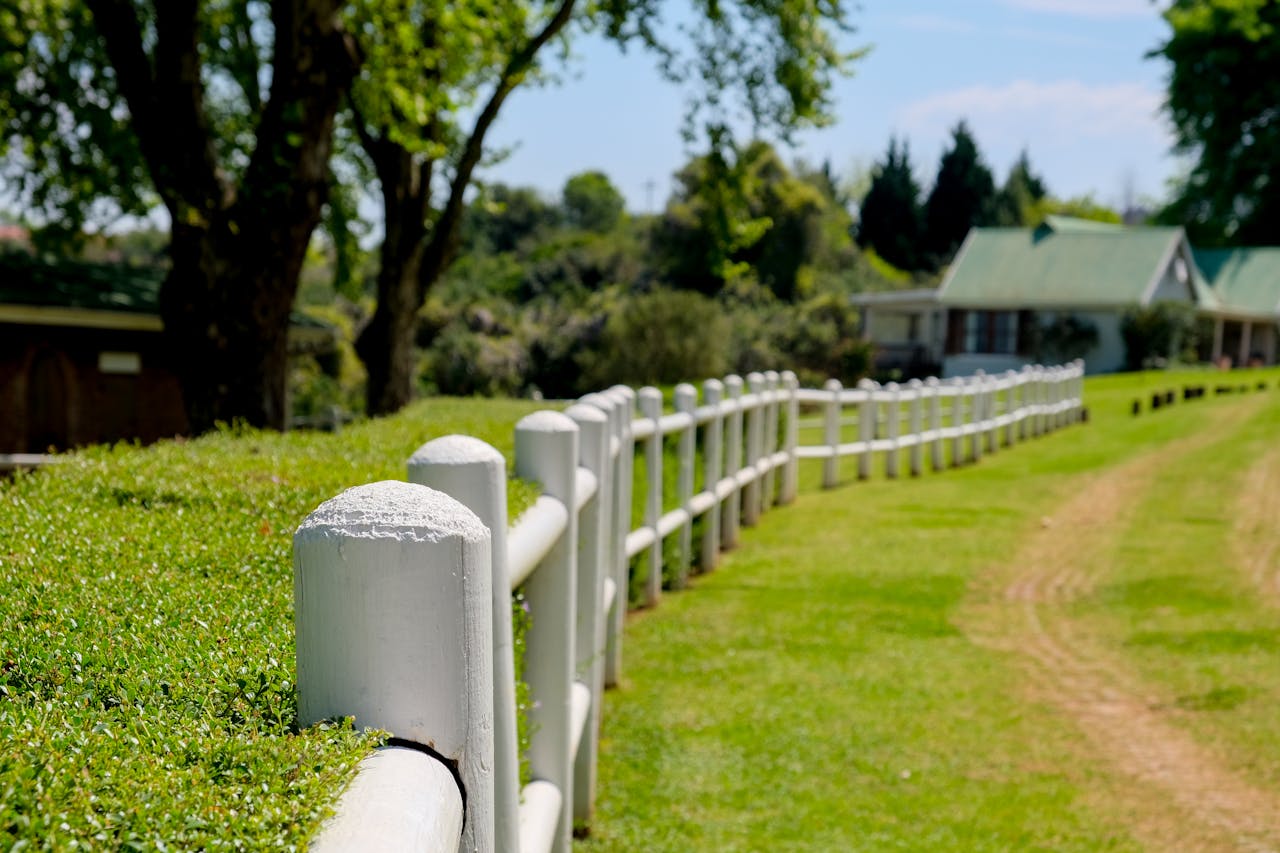 Serene countryside view featuring a white fence and lush greenery under a clear sky.